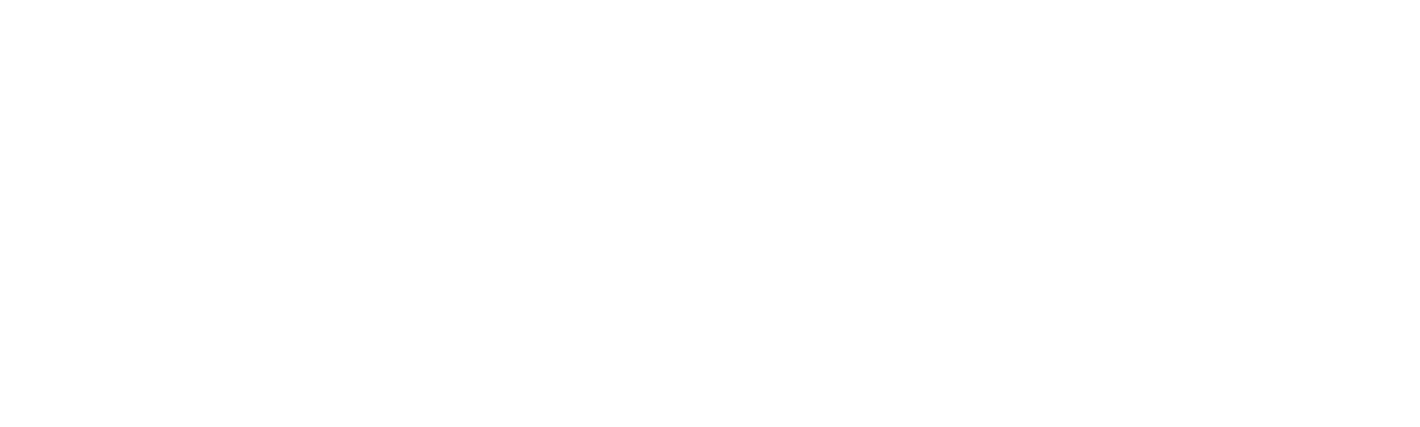 Pioneer Enterprises